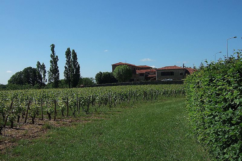 2010-06- (35).JPG